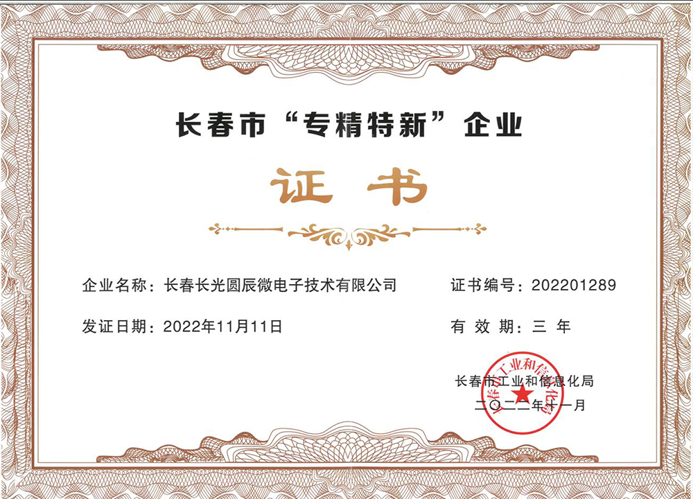 Changchun Specialized, Refined, Unique and New Enterprise